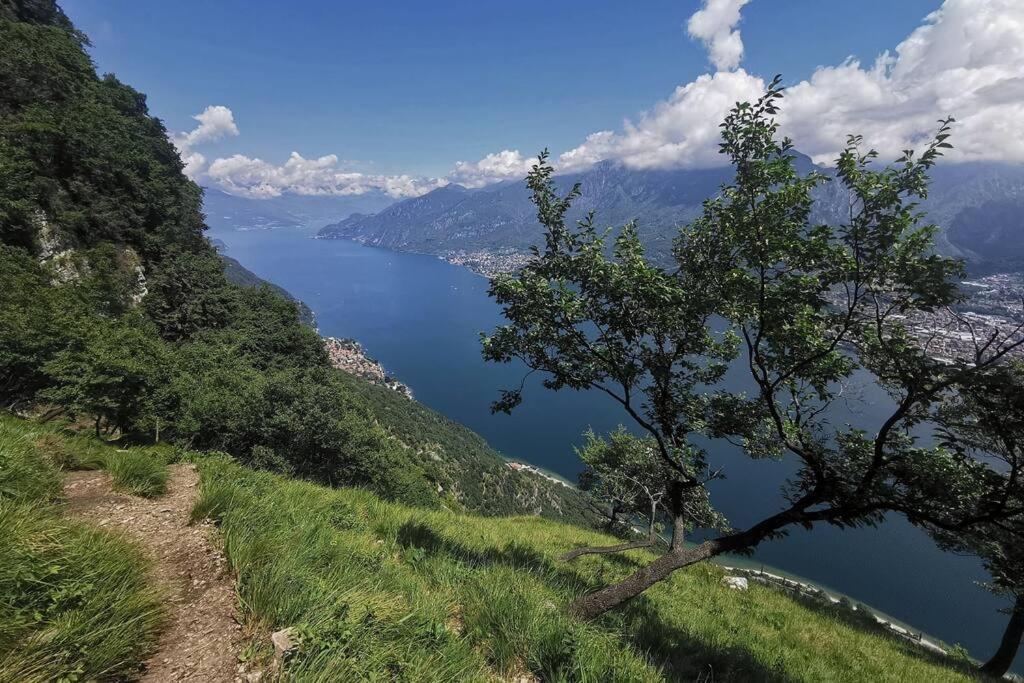 The River Nest Lasnigo エクステリア 写真